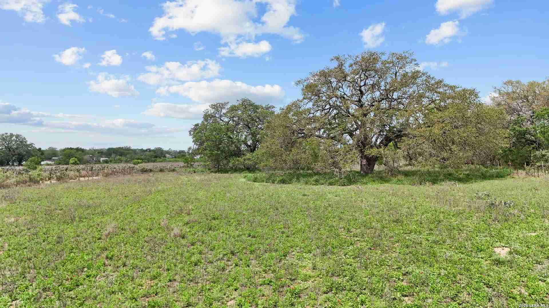 Rare Texas Development Tract -11.4 Acres, City Water/Sewer/Electric, Subdivision